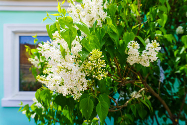 Similar image 21843068