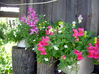 Similar image 21833251