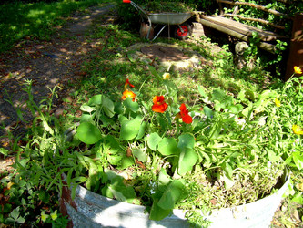 Similar image 21833252