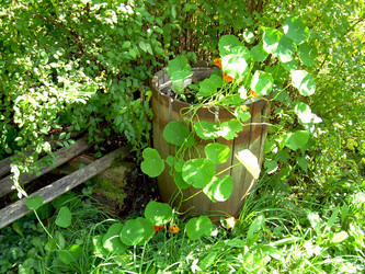 Similar image 21833257