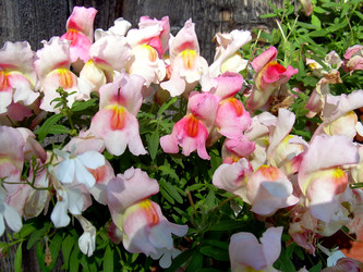 Similar image 21833258