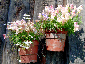 Similar image 21833259