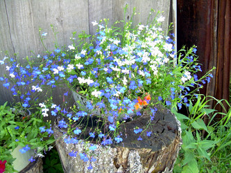 Similar image 21833260