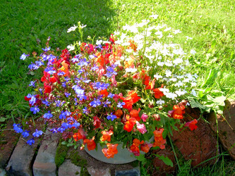 Similar image 21833261