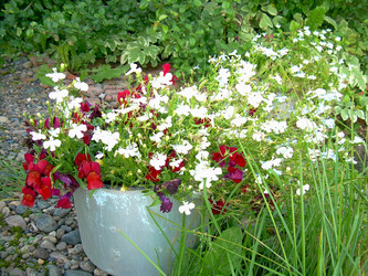 Similar image 21833262