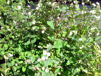 Similar image 21833419