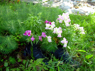 Similar image 21833420