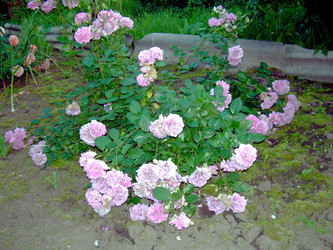 Similar image 21833422