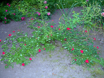 Similar image 21833423