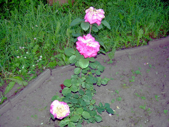 Similar image 21833425