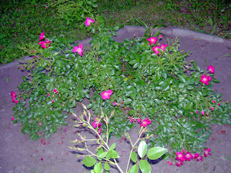 Similar image 21833426