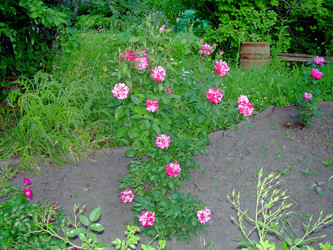 Similar image 21833427