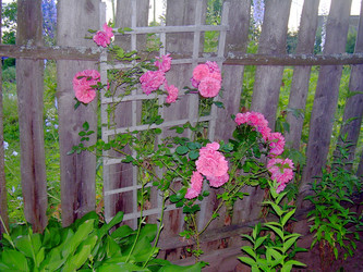 Similar image 21833429