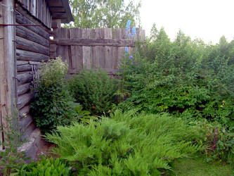 Similar image 21833430