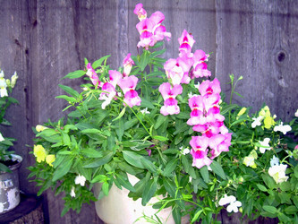 Similar image 21833434