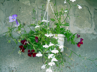 Similar image 21833435