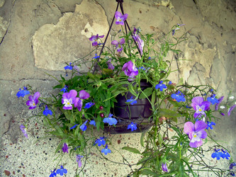 Similar image 21833436