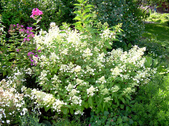 Similar image 21833437