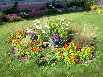 Similar image 21833440