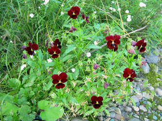 Similar image 21833441