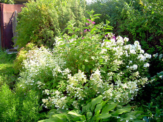 Similar image 21833442