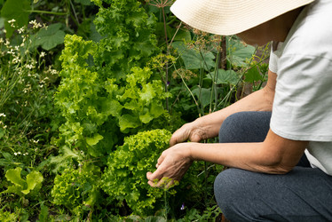 Similar image 21836727