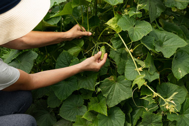 Similar image 21836728