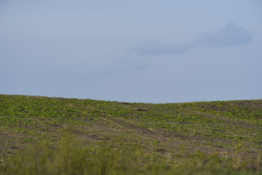 Similar image 21833032