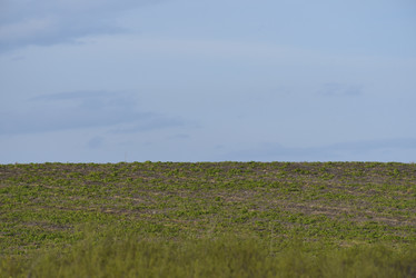 Similar image 21833034