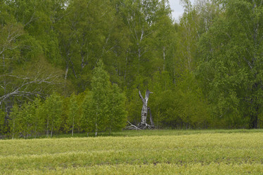 Similar image 21833035