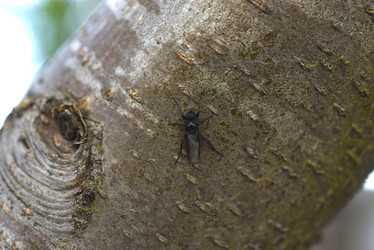 Similar image 21833037