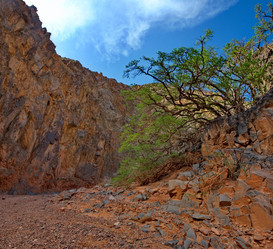 Similar image 21839457