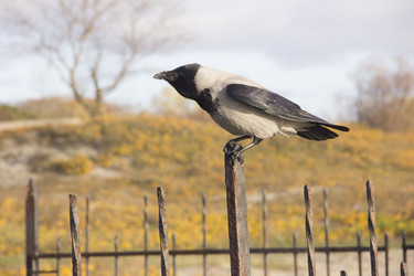 Similar image 21833484