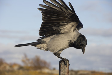 Similar image 21846343