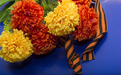 Similar image 21833485