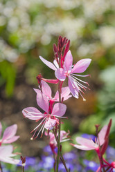 Similar image 21848039