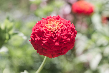 Similar image 21848040