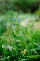 Similar image 21832598