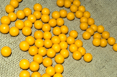 Similar image 21833624