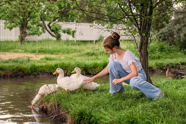 Similar image 21840545