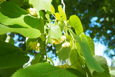 Similar image 21845492