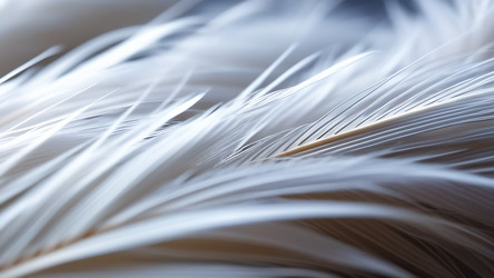 Similar image 21833284