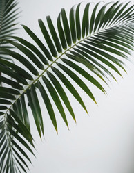 Similar image 21845493