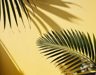 Similar image 21845496