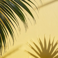 Similar image 21845498