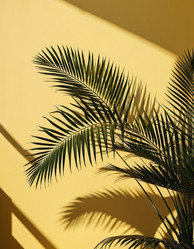 Similar image 21845502