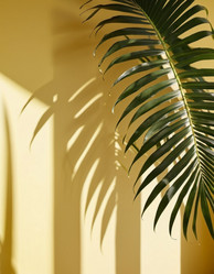 Similar image 21845617