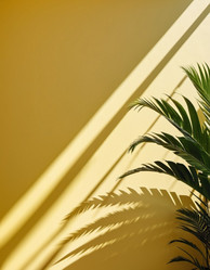 Similar image 21845623