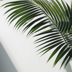 Similar image 21845627