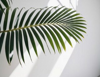 Similar image 21845628